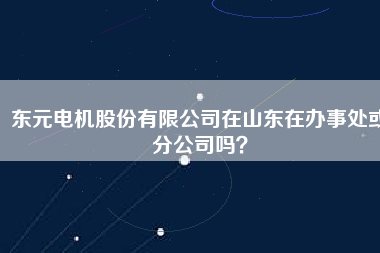 東元電機(jī)股份有限公司在山東在辦事處或分公司嗎？